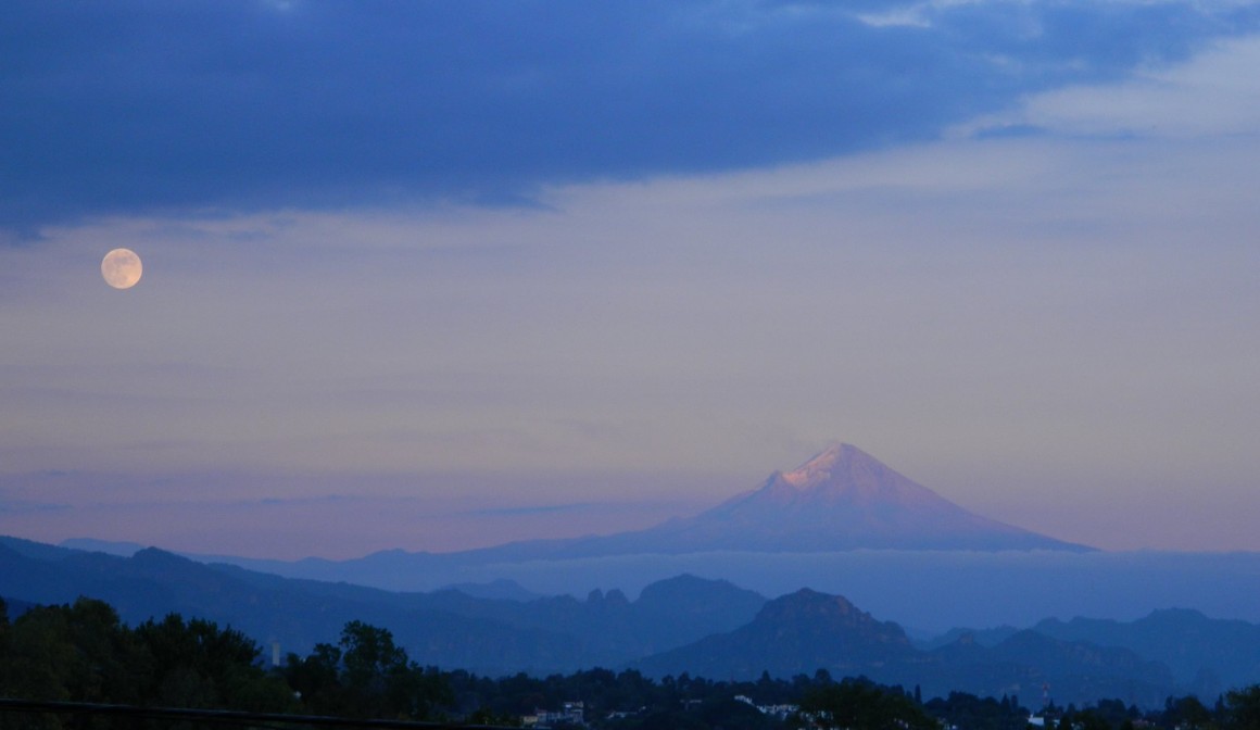 Article : Noël sous les tropiques