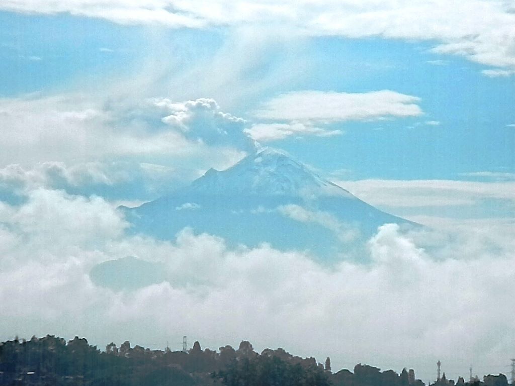 Article : Terre des rêves.